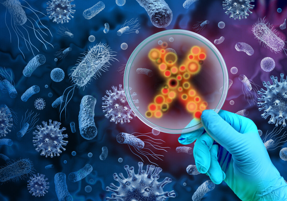 ortoreovirus