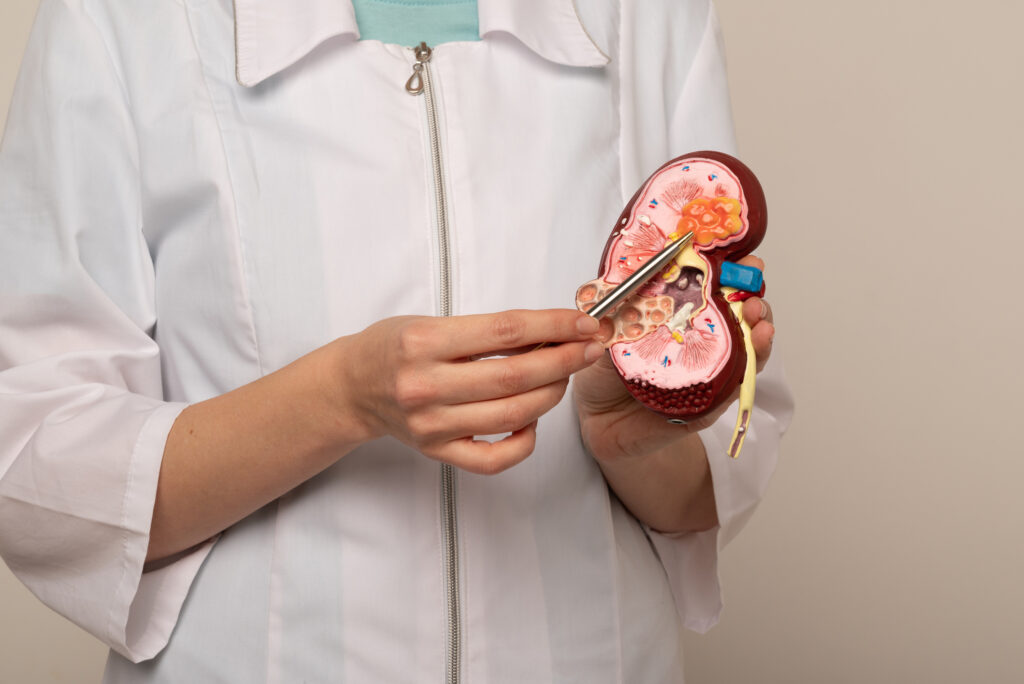 renal