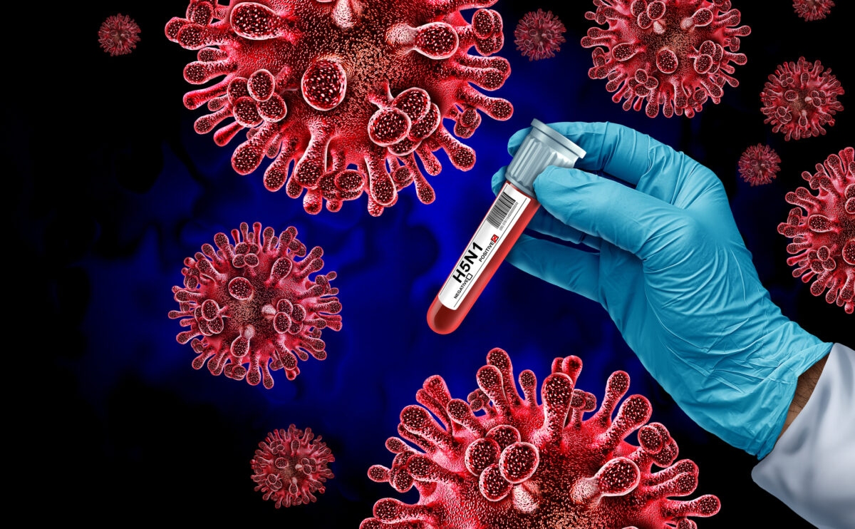 H5N1