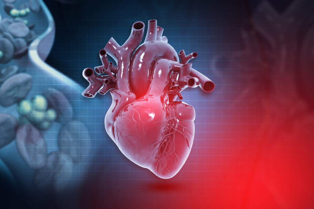 cardiovascular