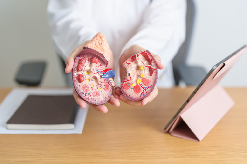 enfermedad renal crónica