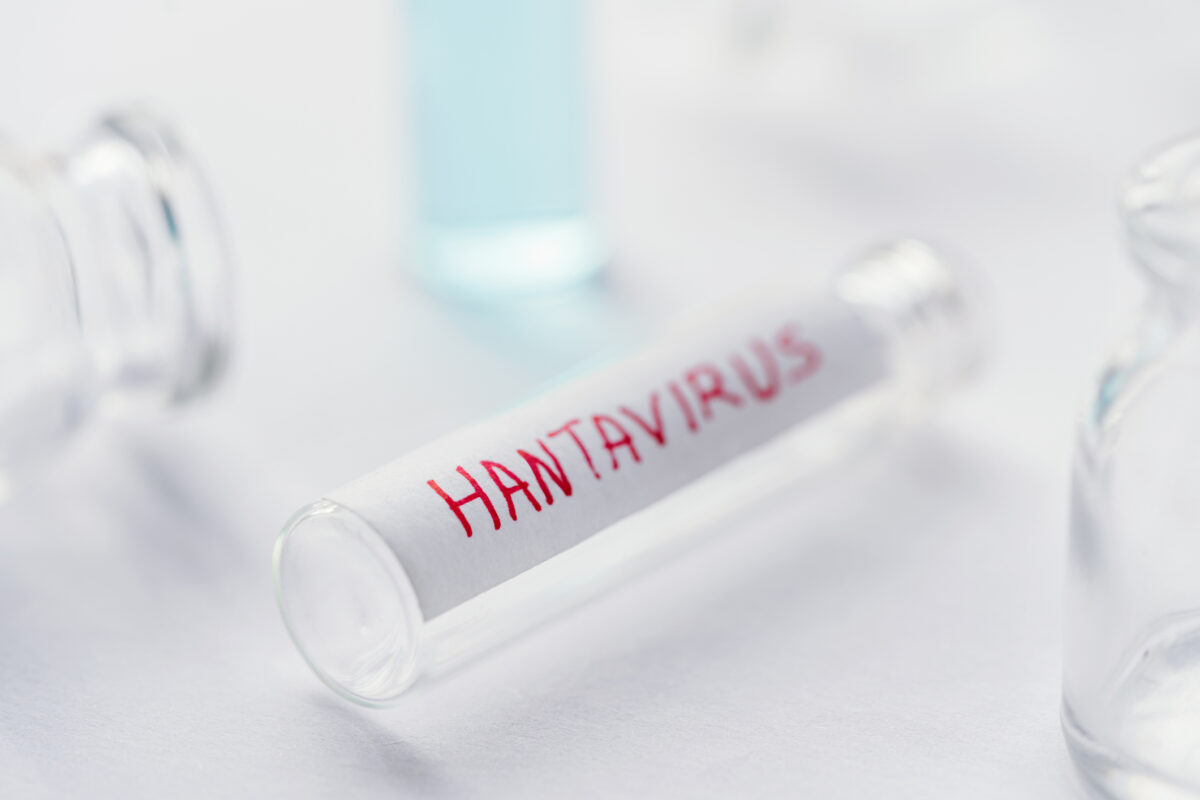 hantavirus